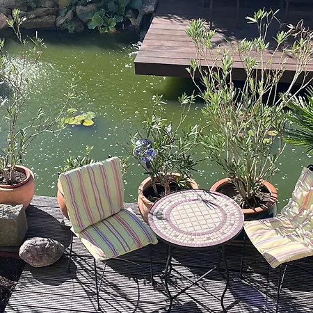 דירה Ferienoase In Der Bierstadt Bei Dresden *