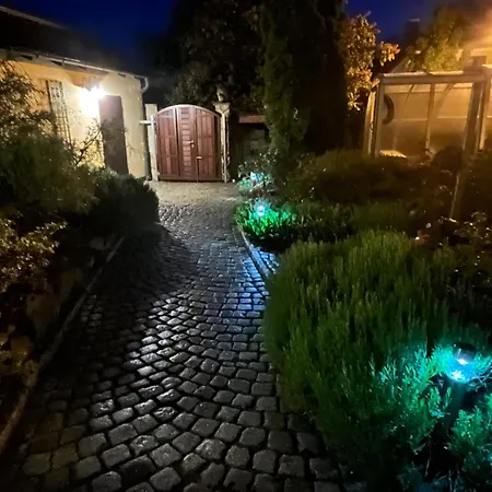 Ferienoase In Der Bierstadt Bei Dresden דירה